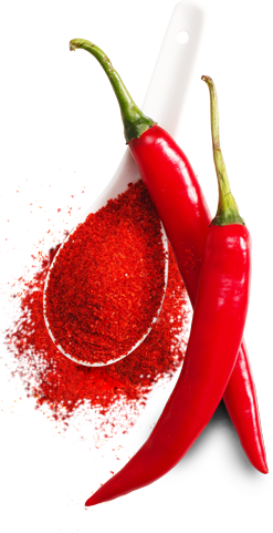 Fresh Red Chilli's